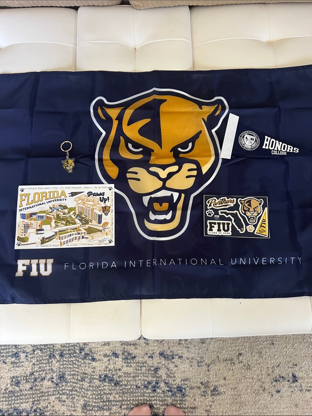 FIU Panthers Navy and Gold Decorative Set